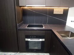 Hyll On Holland (D10), Condominium #566229031